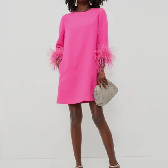 Tuckernuck Hot Pink Mod Feather Mary Dress - M - Picture 2 of 3